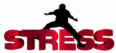 爱游戏ayx官网-NBA球员心理压力识别及干预技术研究，nba球员性格问题